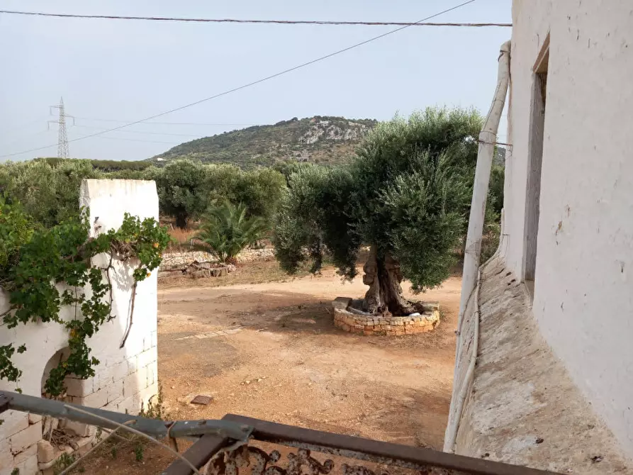 Immagine 27 di Rustico / casale in vendita  in C.da Foggiali a Ostuni