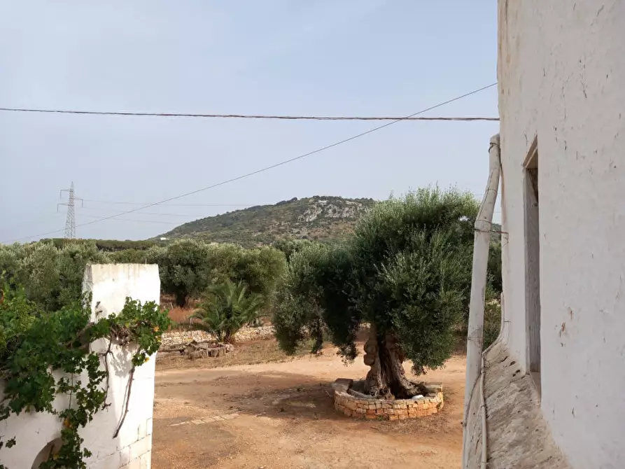 Immagine 28 di Rustico / casale in vendita  in C.da Foggiali a Ostuni