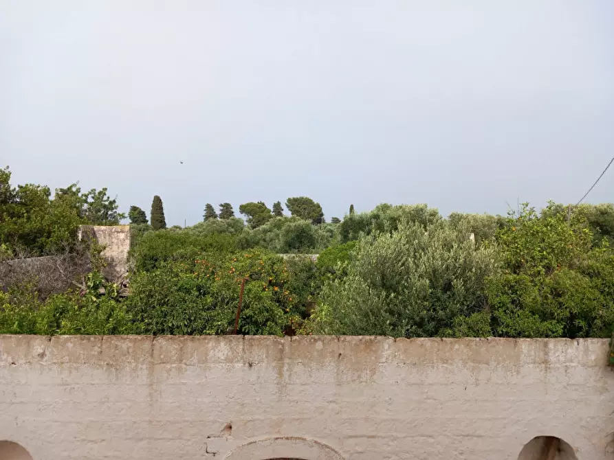 Immagine 29 di Rustico / casale in vendita  in C.da Foggiali a Ostuni