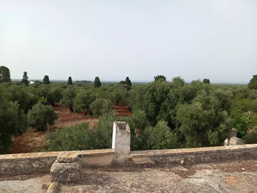 Immagine 30 di Rustico / casale in vendita  in C.da Foggiali a Ostuni
