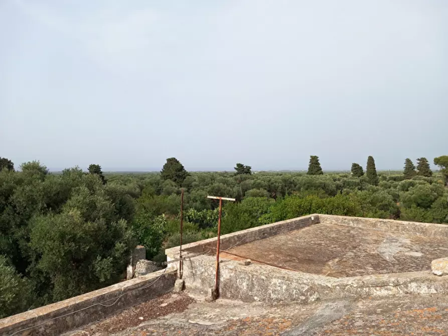 Immagine 31 di Rustico / casale in vendita  in C.da Foggiali a Ostuni