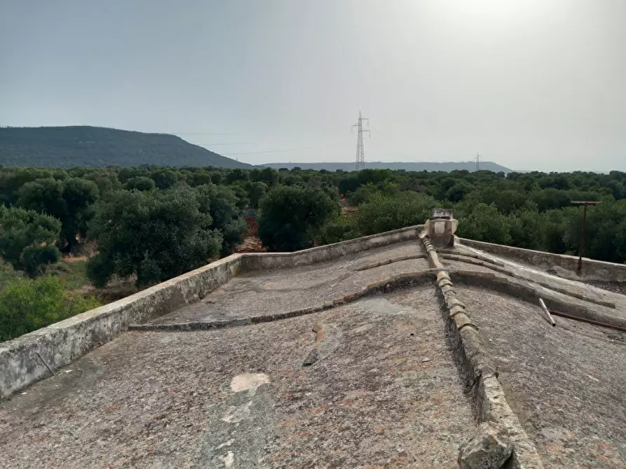 Immagine 32 di Rustico / casale in vendita  in C.da Foggiali a Ostuni