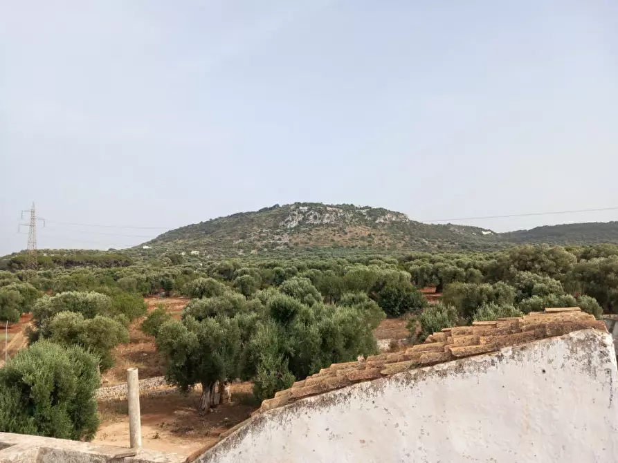 Immagine 33 di Rustico / casale in vendita  in C.da Foggiali a Ostuni