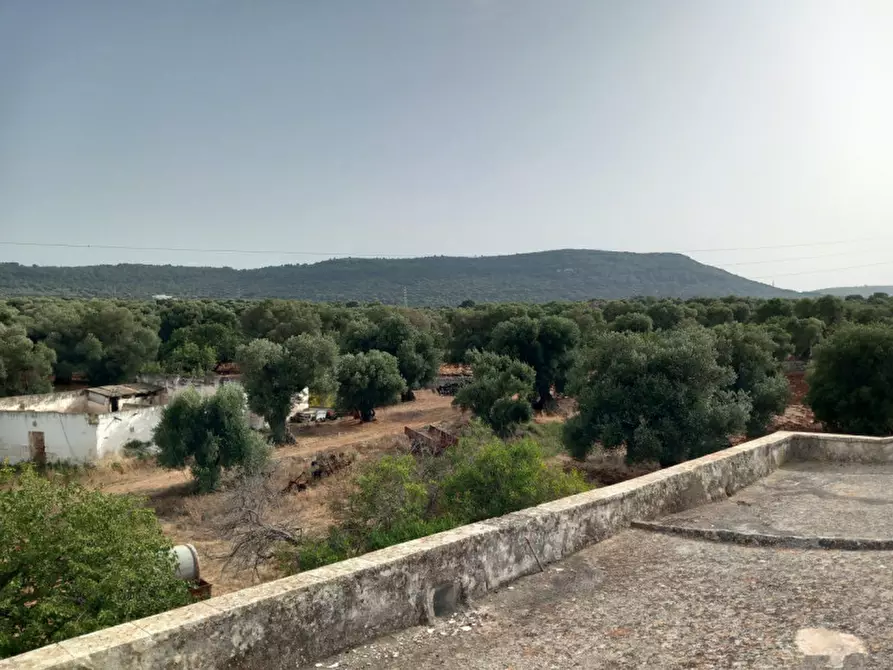 Immagine 34 di Rustico / casale in vendita  in C.da Foggiali a Ostuni