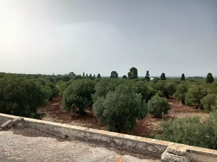 Immagine 35 di Rustico / casale in vendita  in C.da Foggiali a Ostuni