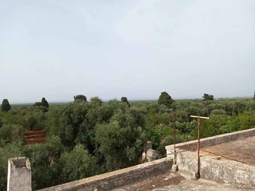 Immagine 36 di Rustico / casale in vendita  in C.da Foggiali a Ostuni