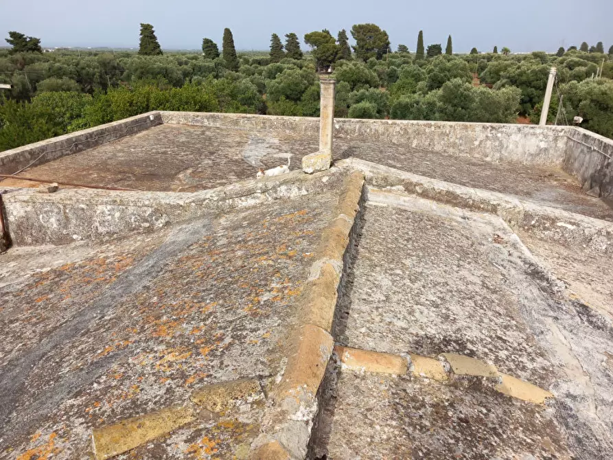 Immagine 37 di Rustico / casale in vendita  in C.da Foggiali a Ostuni