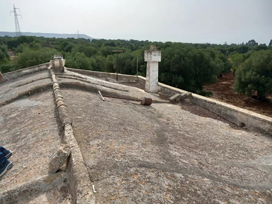 Immagine 38 di Rustico / casale in vendita  in C.da Foggiali a Ostuni