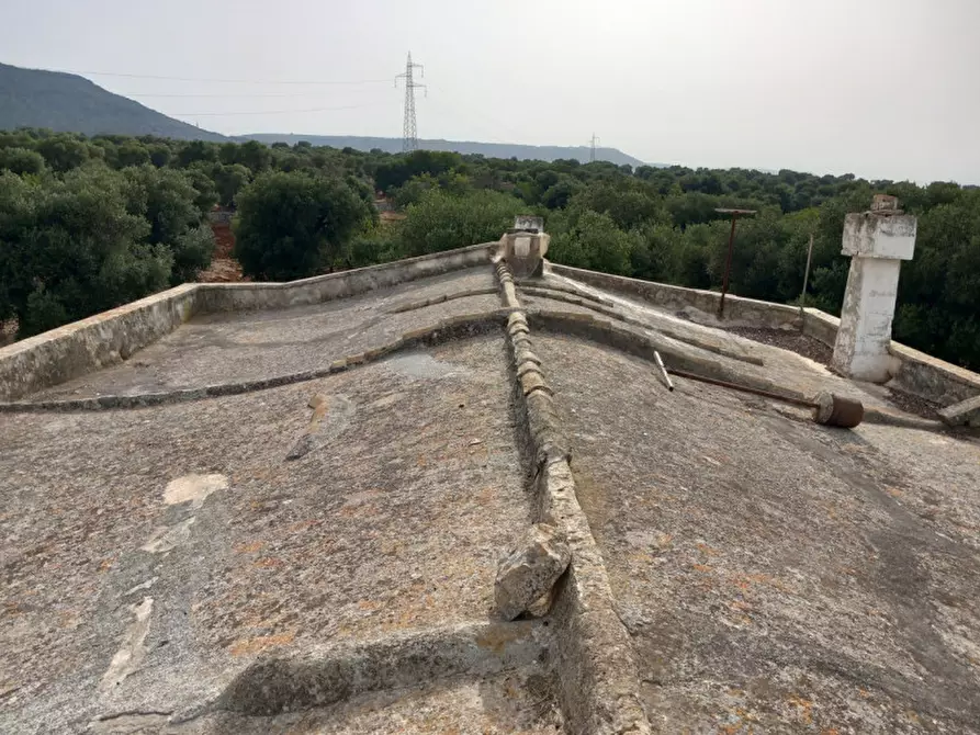 Immagine 39 di Rustico / casale in vendita  in C.da Foggiali a Ostuni