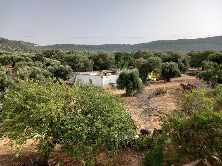 Immagine 40 di Rustico / casale in vendita  in C.da Foggiali a Ostuni