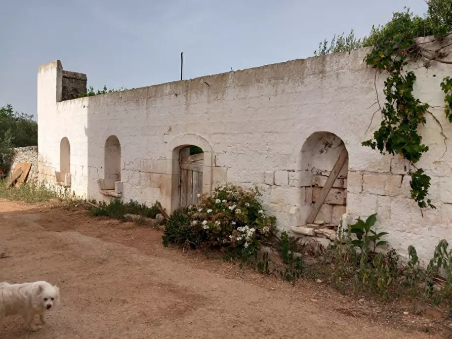 Immagine 42 di Rustico / casale in vendita  in C.da Foggiali a Ostuni