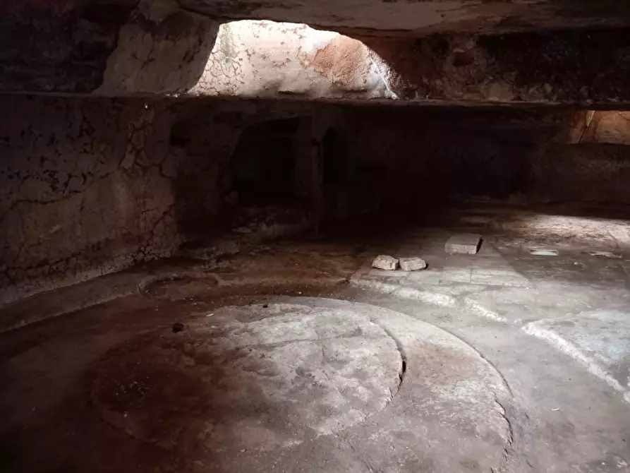 Immagine 46 di Rustico / casale in vendita  in C.da Foggiali a Ostuni