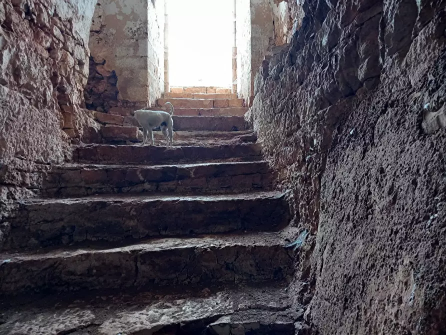 Immagine 50 di Rustico / casale in vendita  in C.da Foggiali a Ostuni