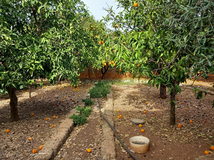 Immagine 58 di Rustico / casale in vendita  in C.da Foggiali a Ostuni