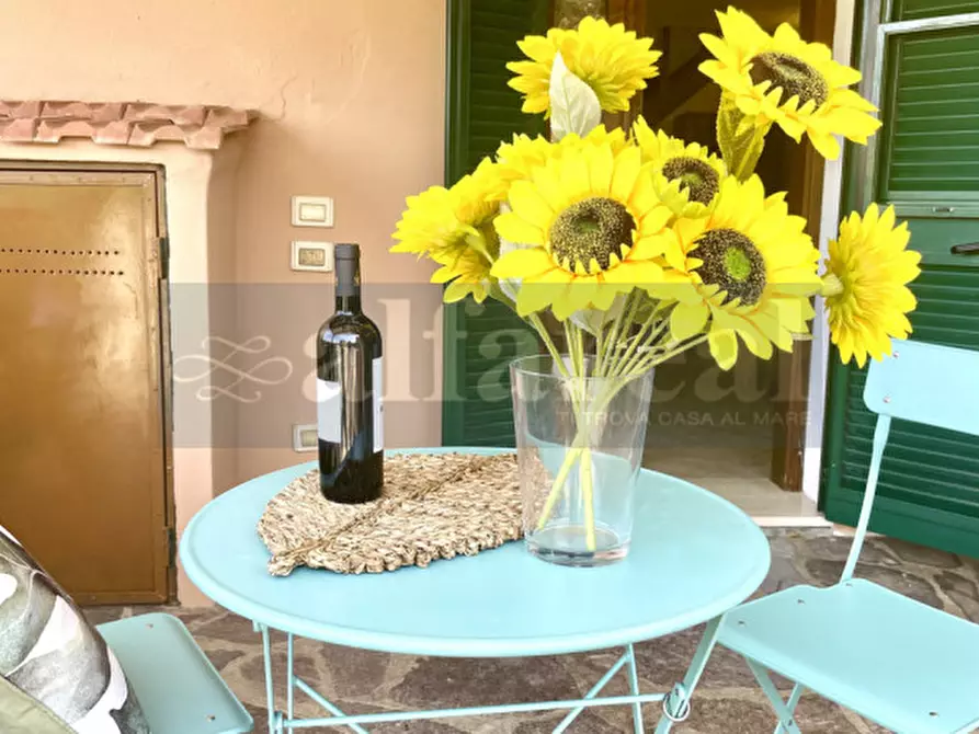 Immagine 1 di Appartamento in vendita  a Castiglione Della Pescaia