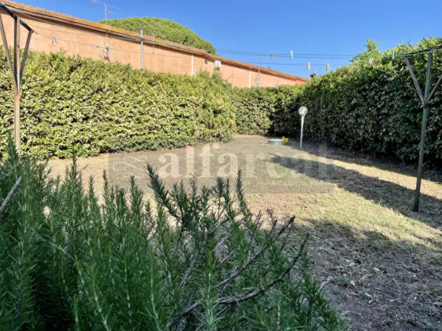 Immagine 4 di Appartamento in vendita  a Castiglione Della Pescaia