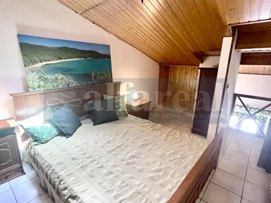 Immagine 15 di Appartamento in vendita  a Castiglione Della Pescaia