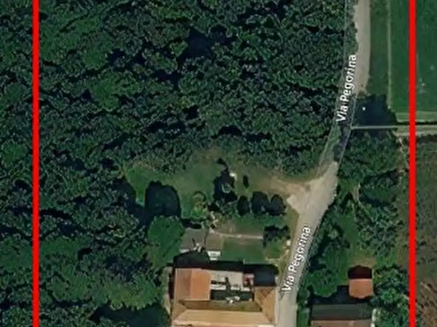 Immagine 2 di Hotel in vendita  in Via Pegorina, 196 a Chioggia