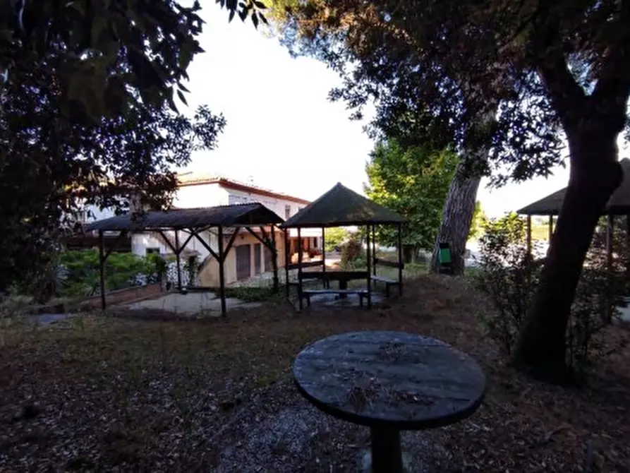 Immagine 6 di Hotel in vendita  in Via Pegorina, 196 a Chioggia