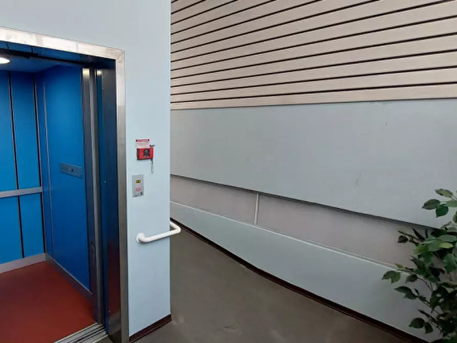 Immagine 20 di Laboratorio in vendita  in corso europa 22 a Alba