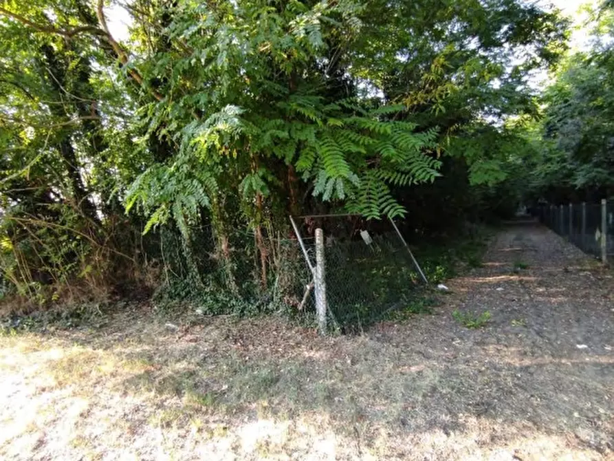 Immagine 2 di Terreno in vendita  in Via Pegorina, 196 a Chioggia