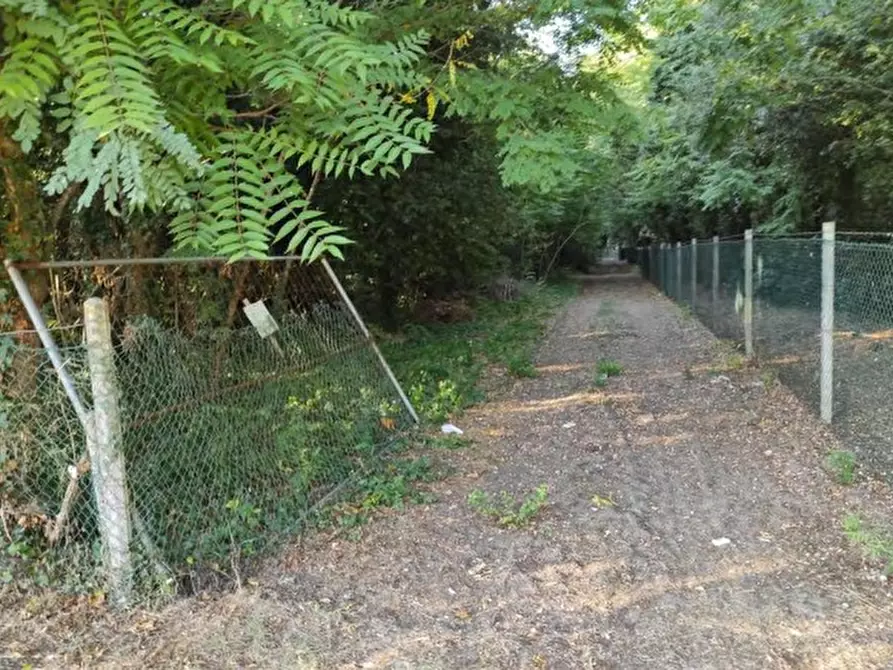 Immagine 3 di Terreno in vendita  in Via Pegorina, 196 a Chioggia
