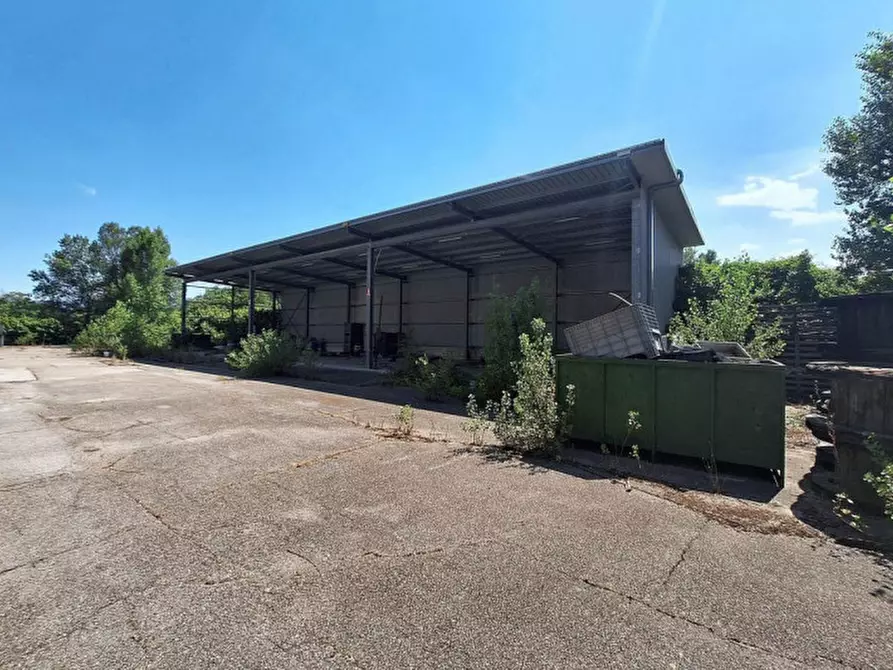 Immagine 15 di Capannone industriale in vendita  in Zona Industriale Casoli Est, N. snc a Casoli