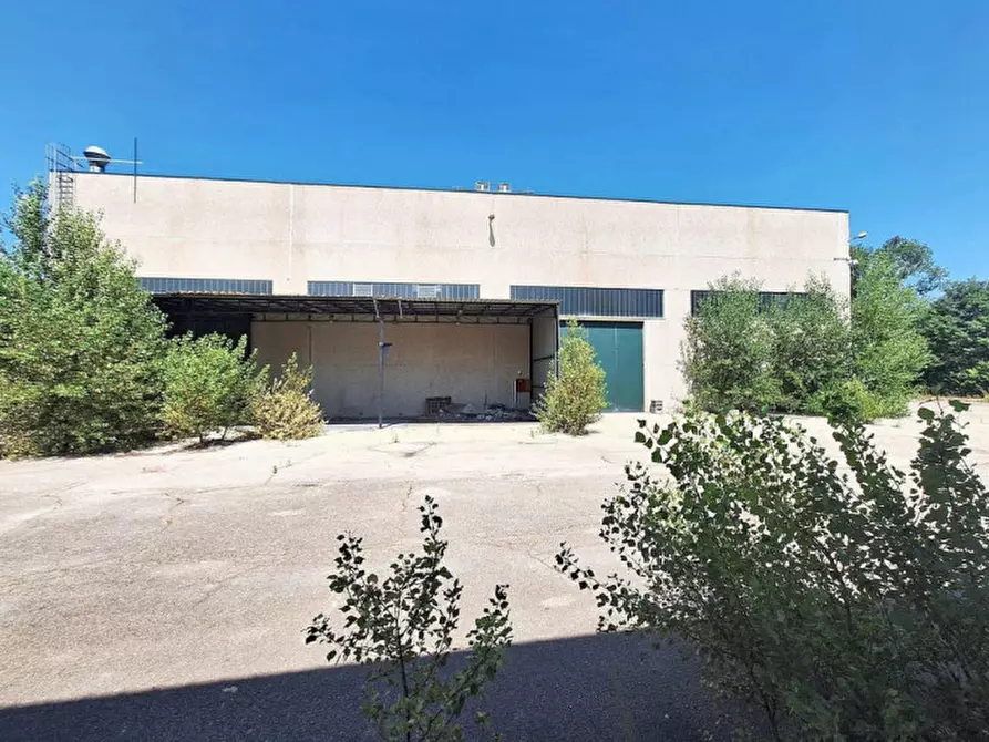 Immagine 16 di Capannone industriale in vendita  in Zona Industriale Casoli Est, N. snc a Casoli