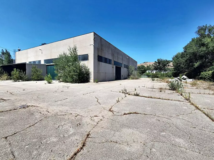 Immagine 17 di Capannone industriale in vendita  in Zona Industriale Casoli Est, N. snc a Casoli