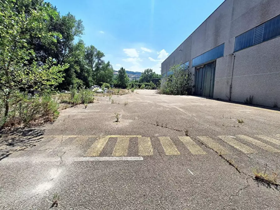 Immagine 18 di Capannone industriale in vendita  in Zona Industriale Casoli Est, N. snc a Casoli