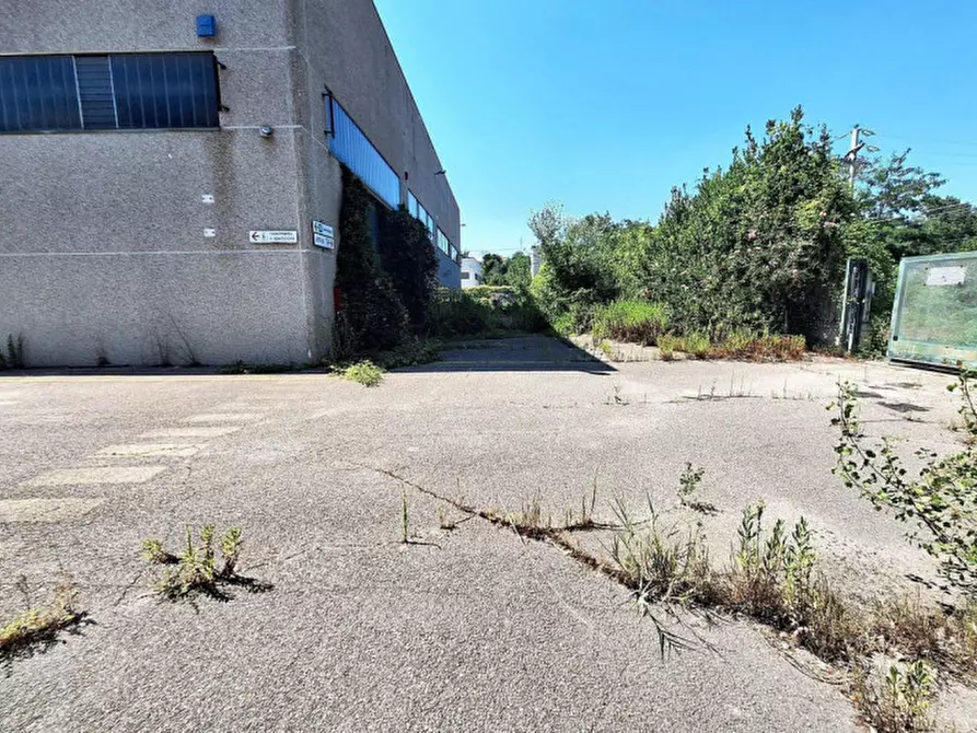 Immagine 19 di Capannone industriale in vendita  in Zona Industriale Casoli Est, N. snc a Casoli