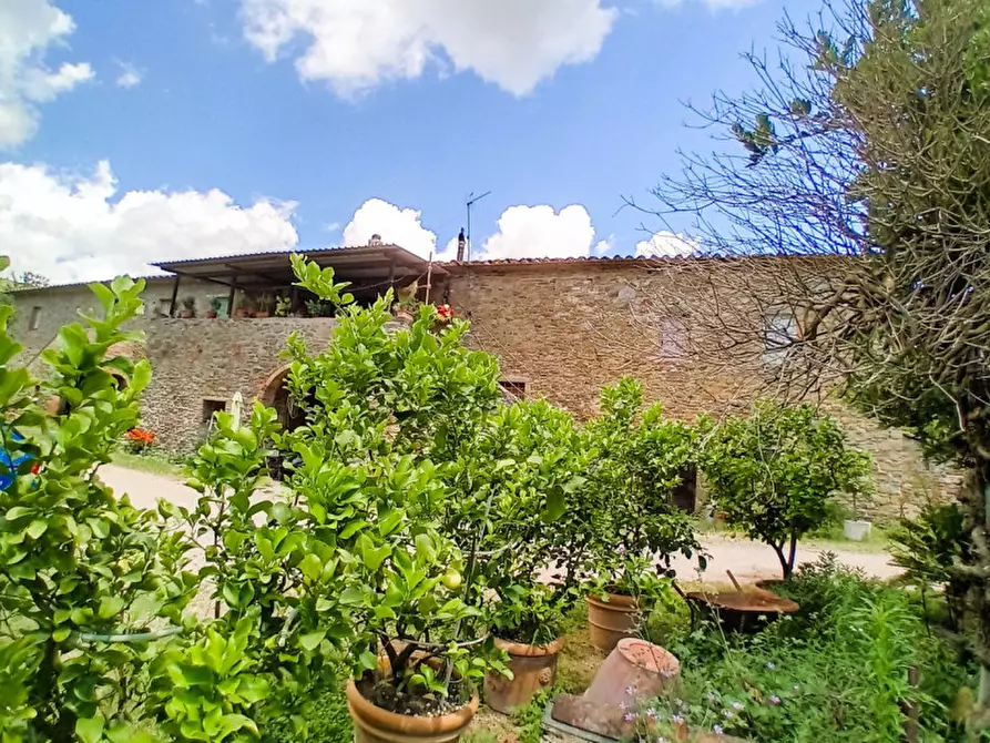 Immagine 1 di Rustico / casale in vendita  in località Sanguineto a Tuoro Sul Trasimeno