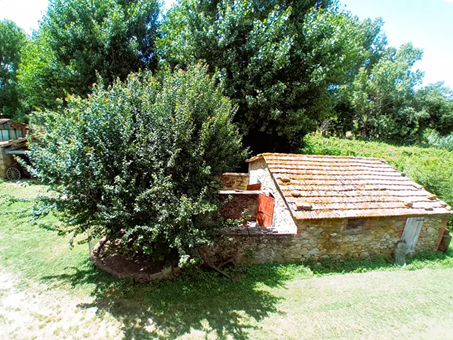 Immagine 2 di Rustico / casale in vendita  in località Sanguineto a Tuoro Sul Trasimeno