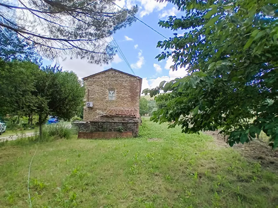 Immagine 3 di Rustico / casale in vendita  in località Sanguineto a Tuoro Sul Trasimeno