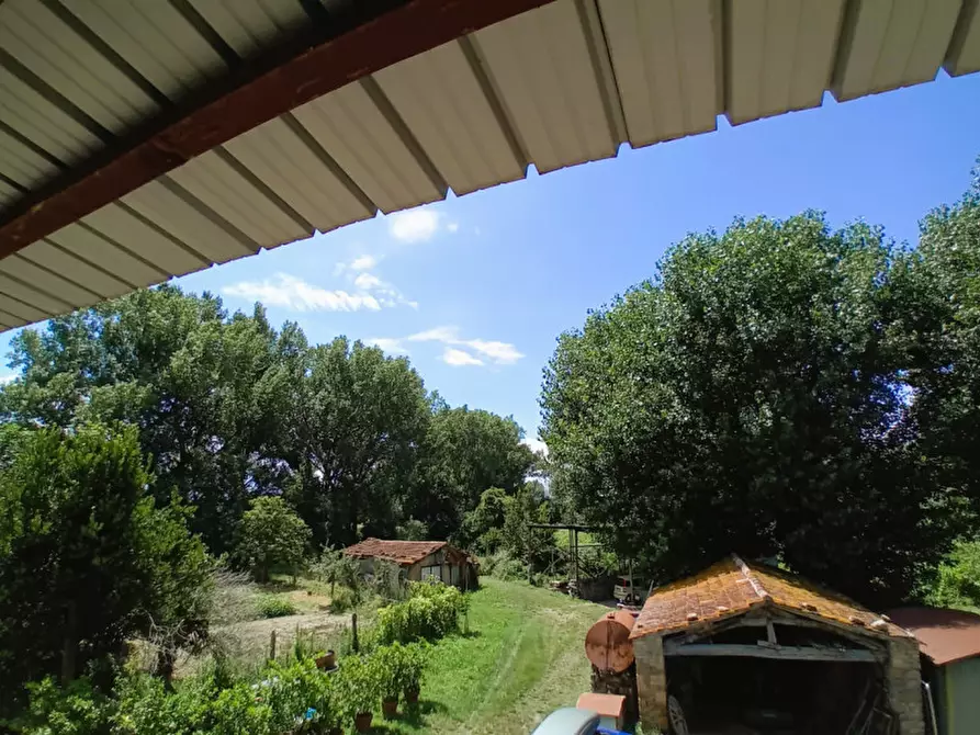 Immagine 6 di Rustico / casale in vendita  in località Sanguineto a Tuoro Sul Trasimeno