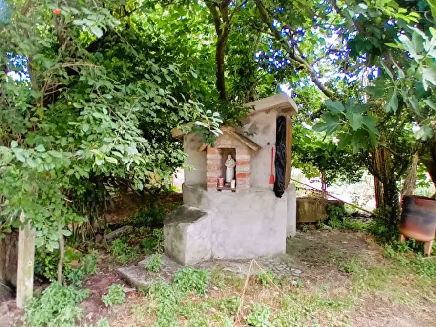 Immagine 8 di Rustico / casale in vendita  in località Sanguineto a Tuoro Sul Trasimeno