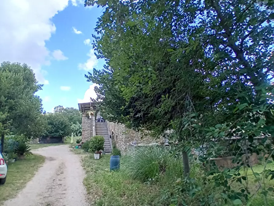 Immagine 9 di Rustico / casale in vendita  in località Sanguineto a Tuoro Sul Trasimeno