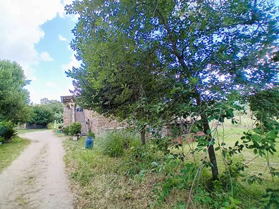Immagine 10 di Rustico / casale in vendita  in località Sanguineto a Tuoro Sul Trasimeno