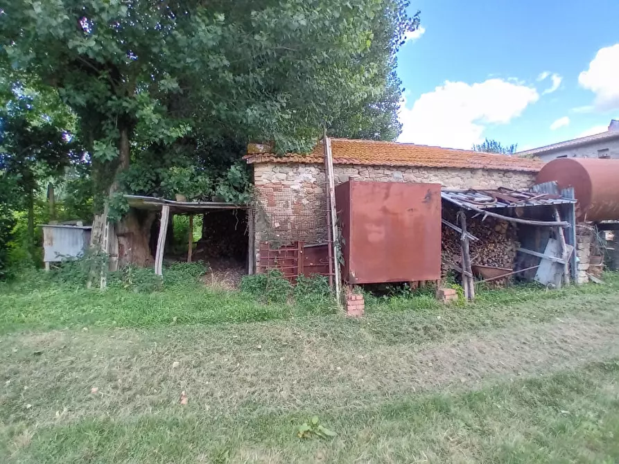 Immagine 11 di Rustico / casale in vendita  in località Sanguineto a Tuoro Sul Trasimeno