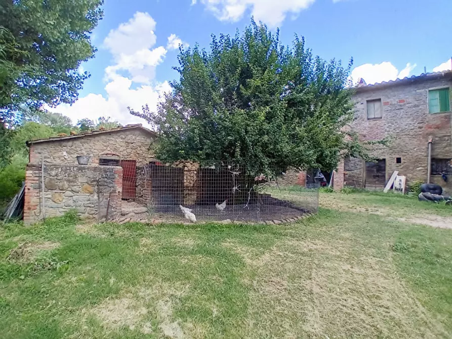 Immagine 12 di Rustico / casale in vendita  in località Sanguineto a Tuoro Sul Trasimeno