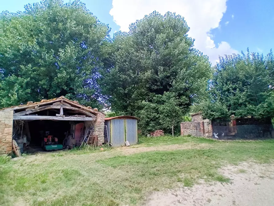 Immagine 15 di Rustico / casale in vendita  in località Sanguineto a Tuoro Sul Trasimeno