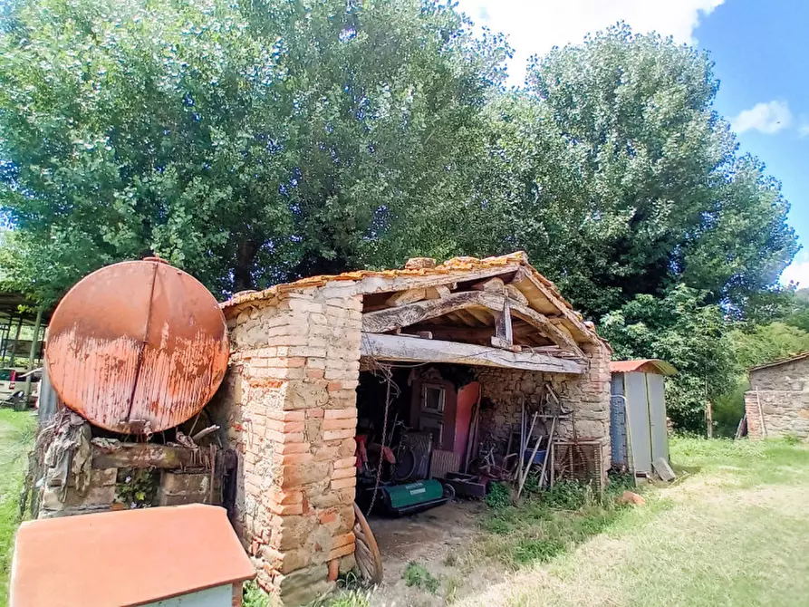 Immagine 16 di Rustico / casale in vendita  in località Sanguineto a Tuoro Sul Trasimeno