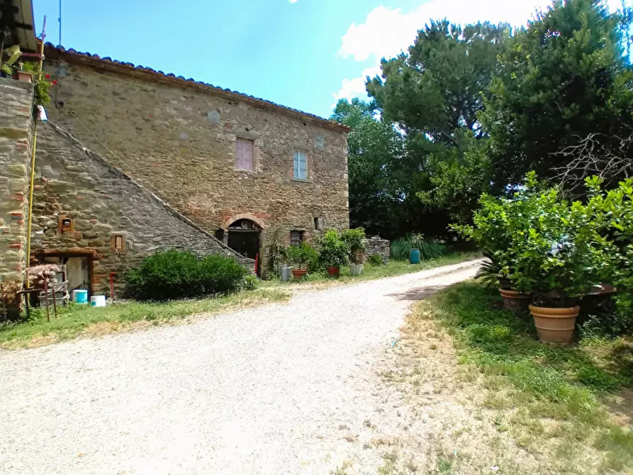Immagine 17 di Rustico / casale in vendita  in località Sanguineto a Tuoro Sul Trasimeno