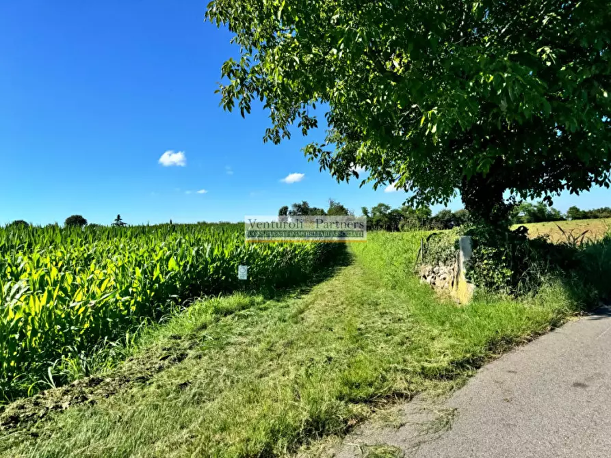 Immagine 3 di Terreno in vendita  in via dei mille a Calvagese Della Riviera