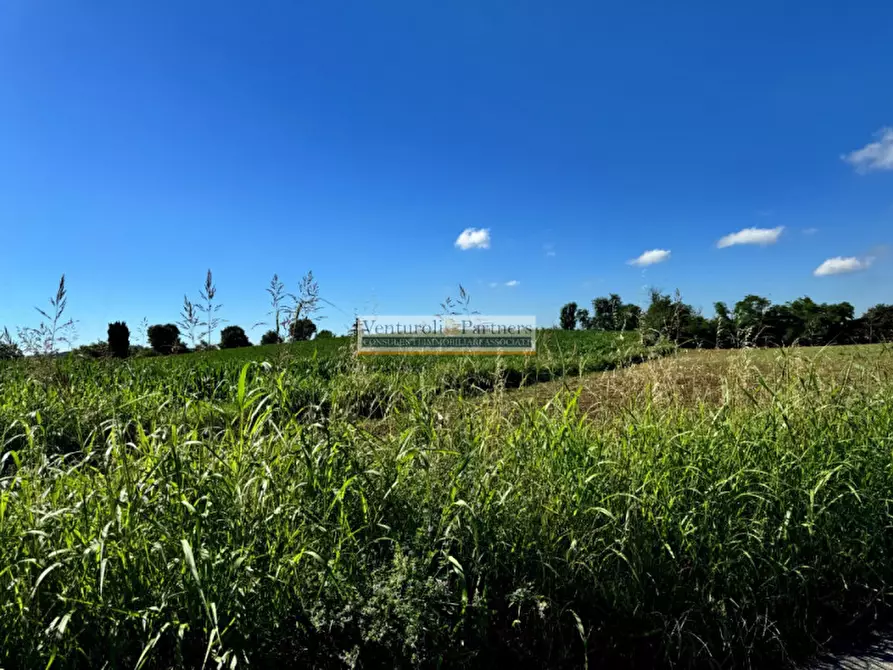 Immagine 4 di Terreno in vendita  in via dei mille a Calvagese Della Riviera