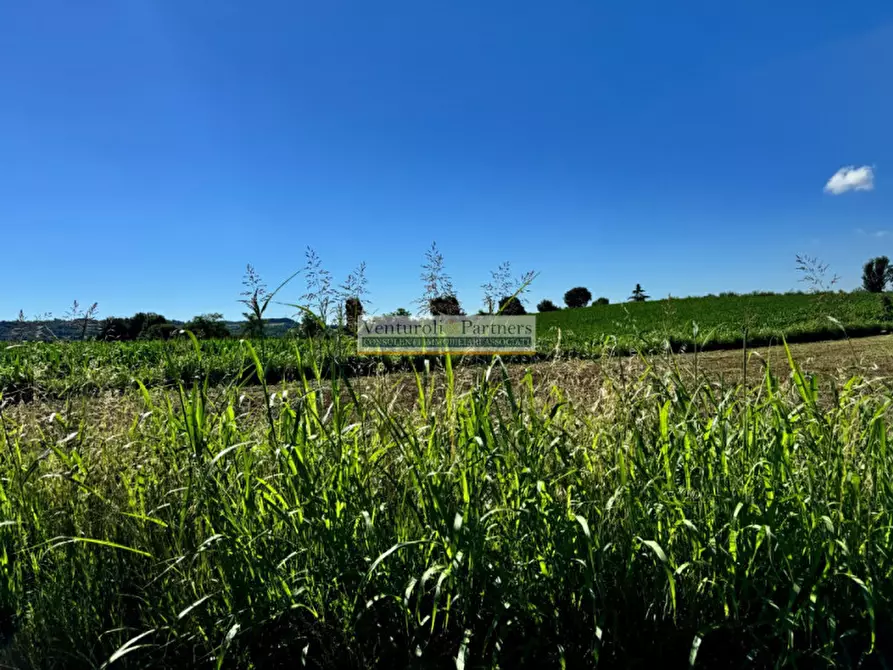Immagine 5 di Terreno in vendita  in via dei mille a Calvagese Della Riviera