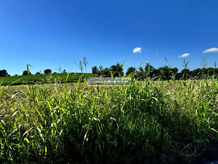 Immagine 6 di Terreno in vendita  in via dei mille a Calvagese Della Riviera