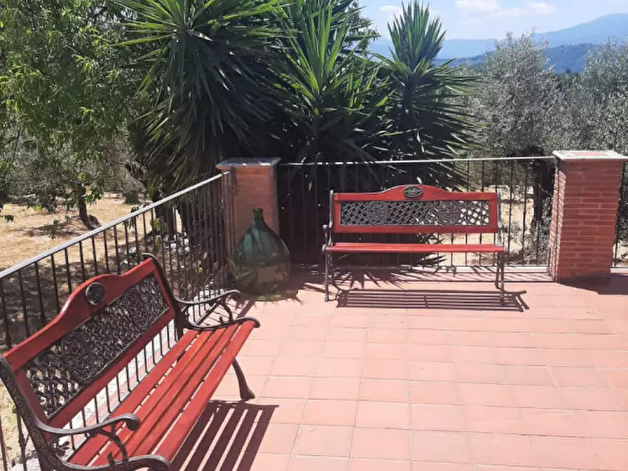 Immagine 2 di Rustico / casale in vendita  in Contrada Le Fornaci a Paliano