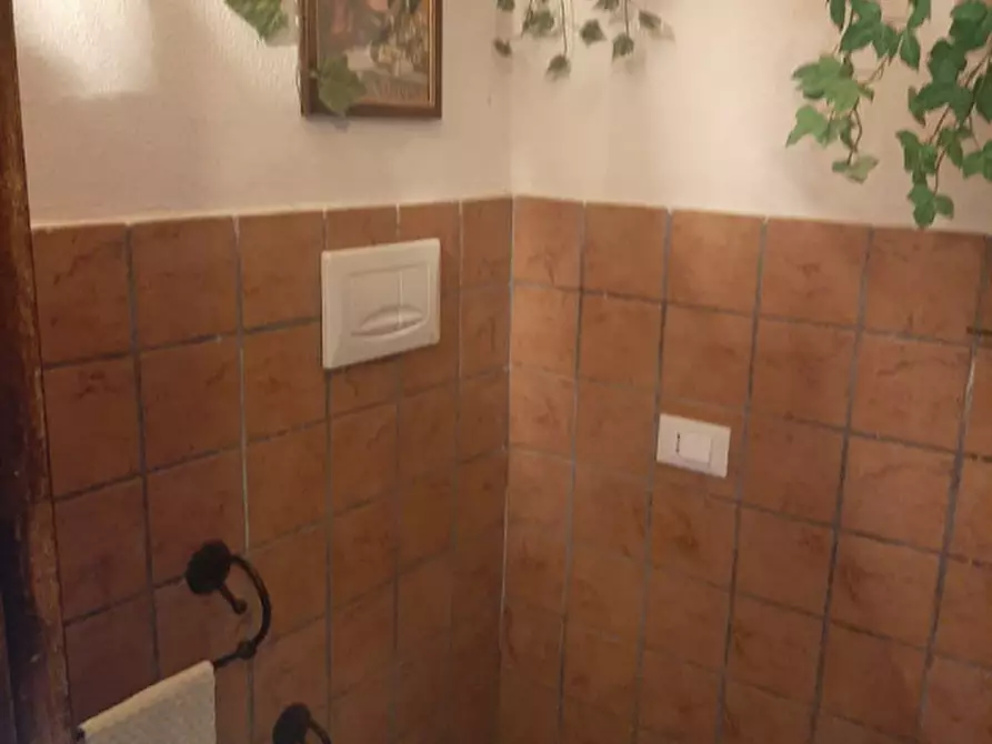Immagine 15 di Rustico / casale in vendita  in Contrada Le Fornaci a Paliano