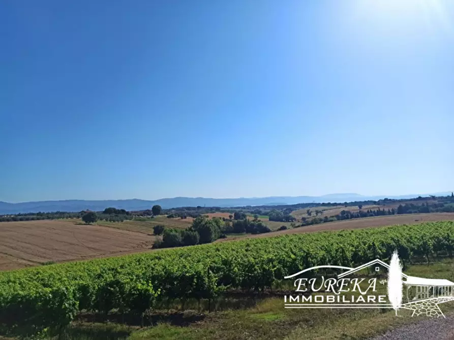 Immagine 13 di Rustico / casale in vendita  in Pozzuolo a Castiglione Del Lago
